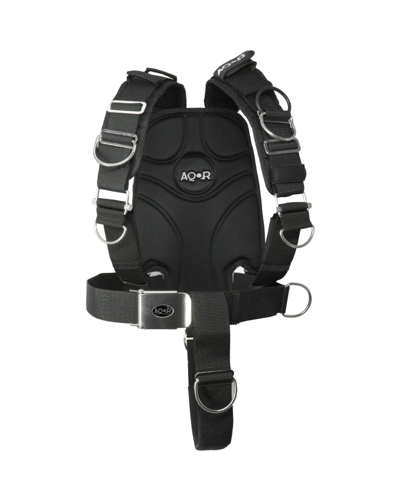 Backplate Comfort Plus.webp